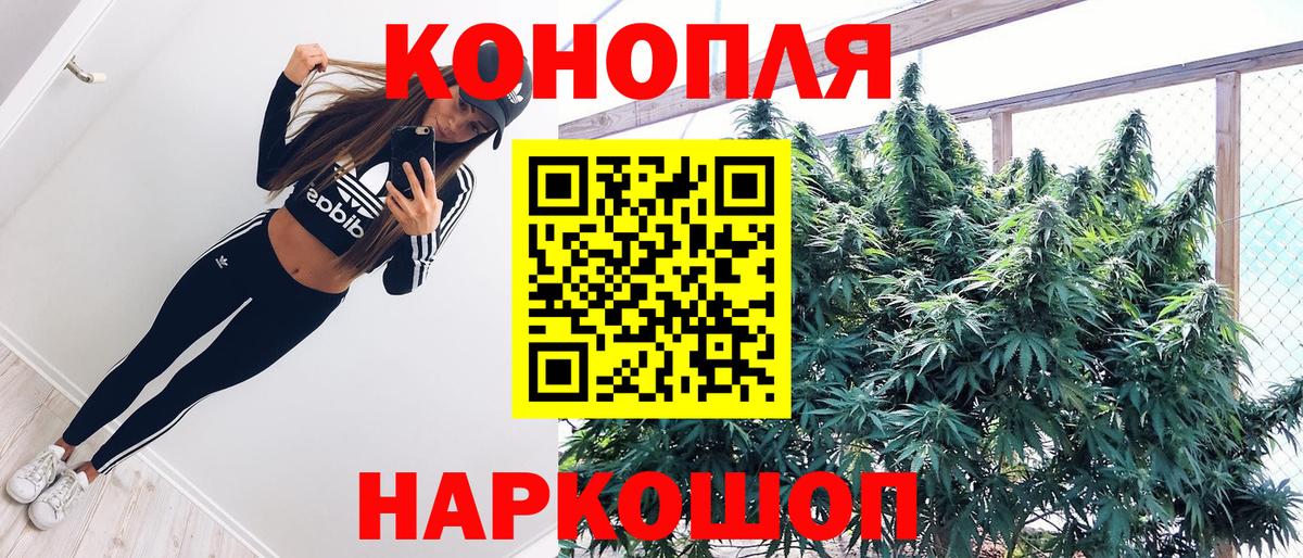 Шишки марихуана Amnesia  Вход с VPN  Волоколамск  Бошки Шишки семена  МАРИХУАНА Amnesia  Шишки марихуана тримм 
